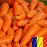 Hectarul - Seminte romanesti de morcov NABUCO, 10gr, SCDL Buzau